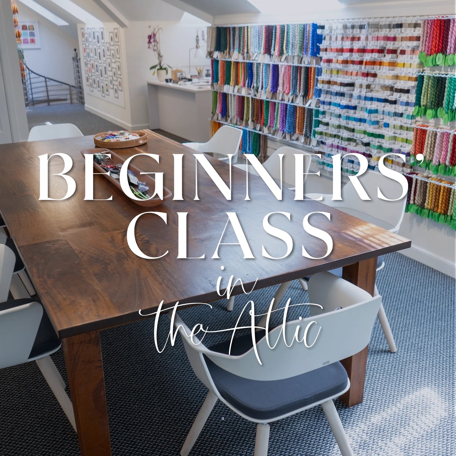 Beginner Classes