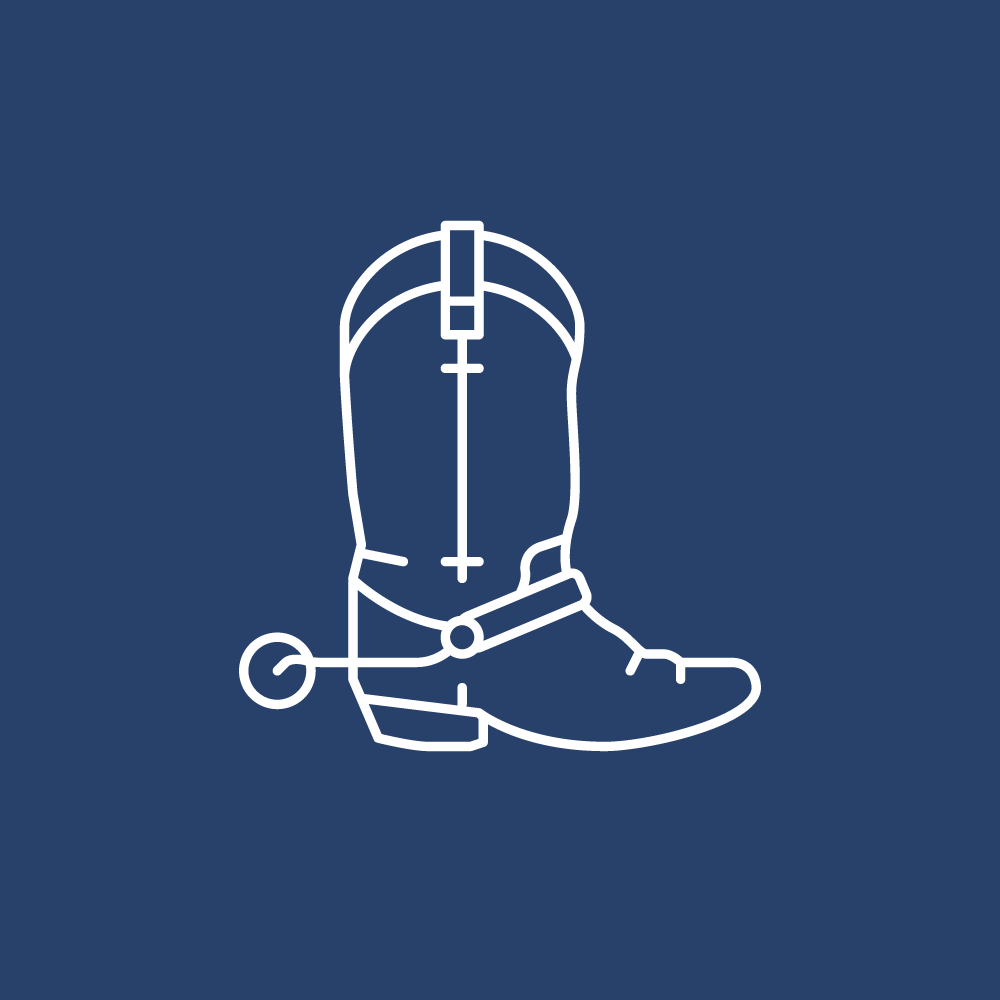 Cowboy Boots