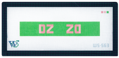Delta Zeta Key Fob